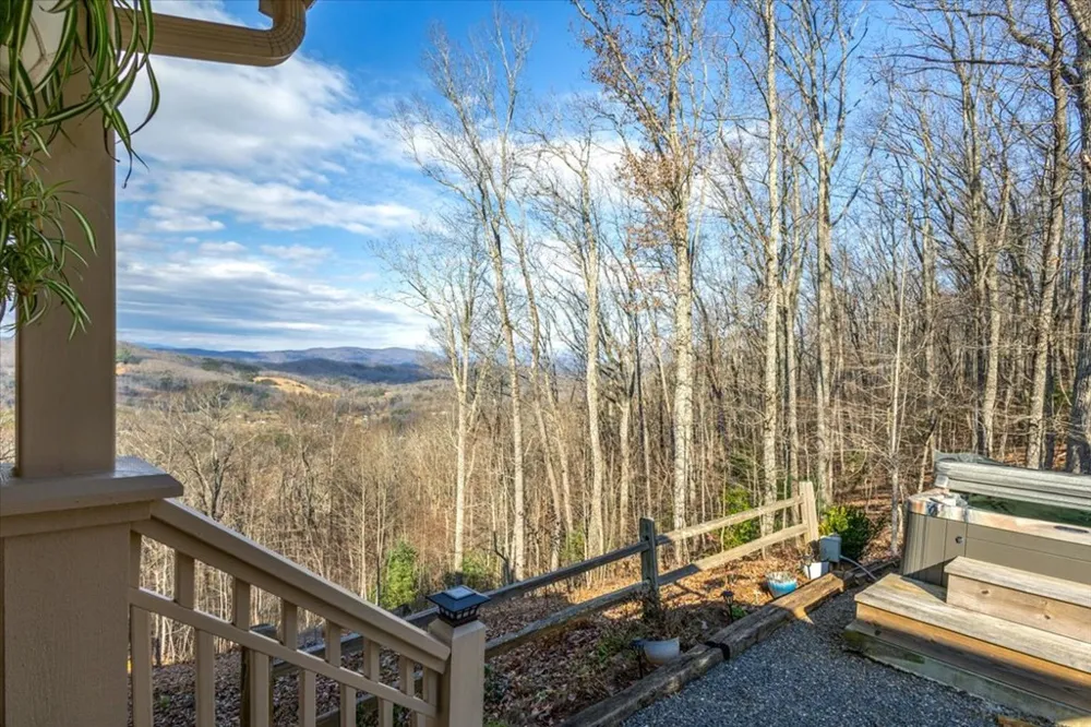 1706 Deer Valley Drive Warne, NC 28909