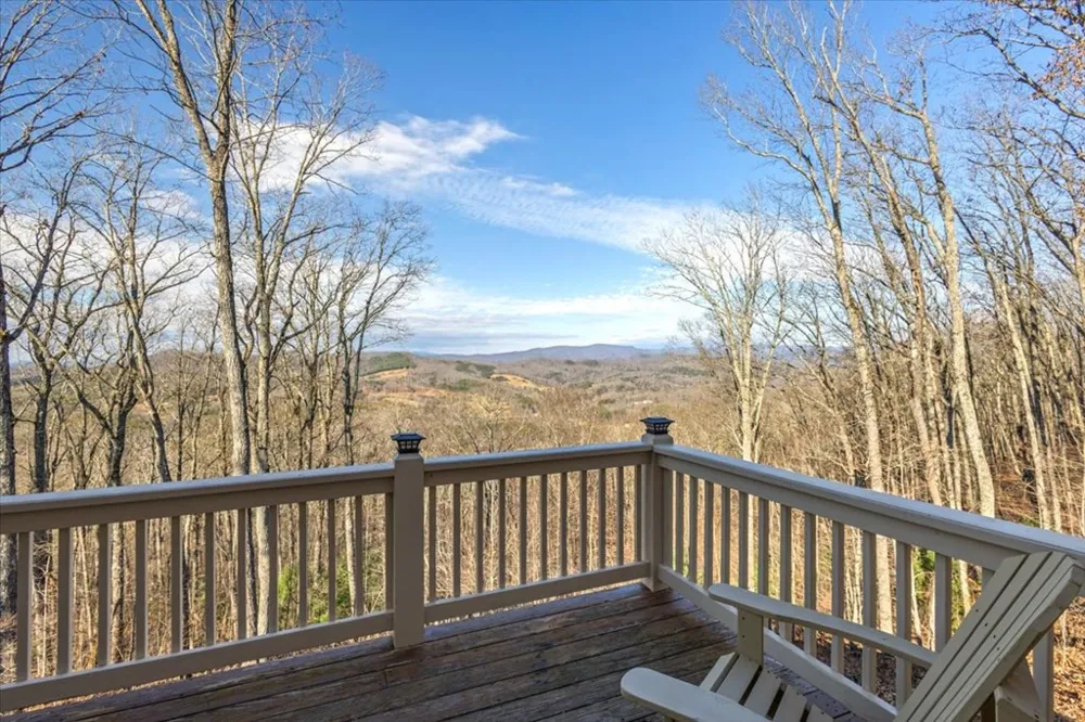 1706 Deer Valley Drive Warne, NC 28909