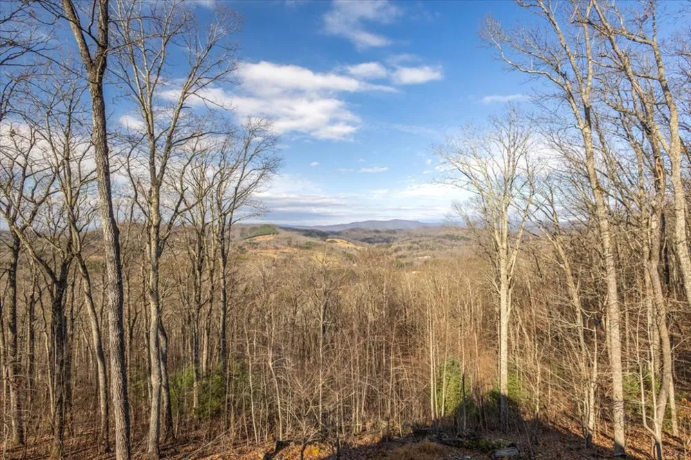 1706 Deer Valley Drive Warne, NC 28909