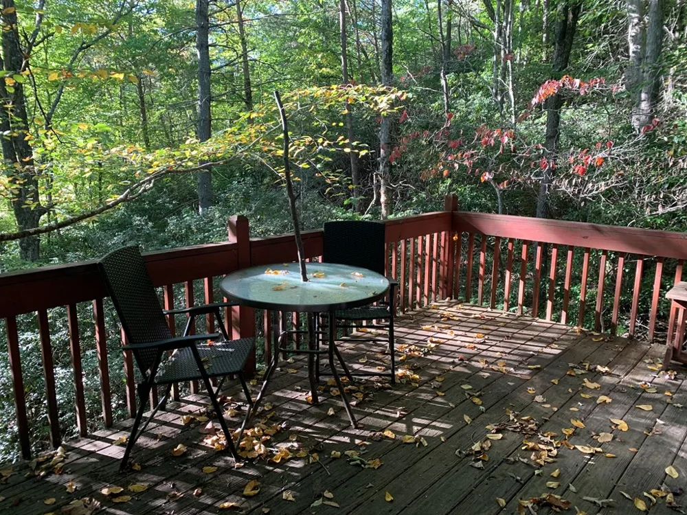 441 Shields Creek Road Topton, NC 28781
