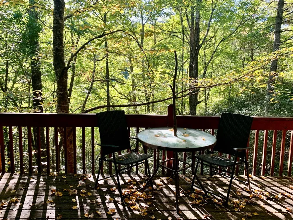 441 Shields Creek Road Topton, NC 28781