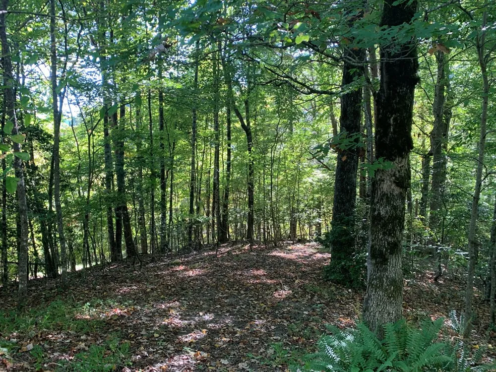 441 Shields Creek Road Topton, NC 28781