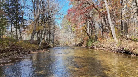 Lot 5 Big Pine Drive