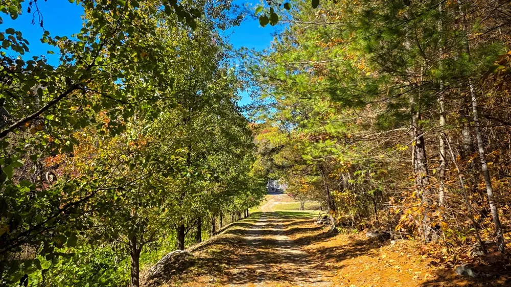 173&130 Edwards Cove Road Bryson City, NC 28713