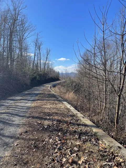 Lot #53m Ridges