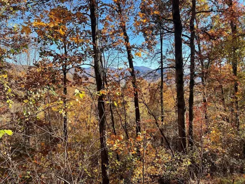 36 54c Ash Branch Circle
