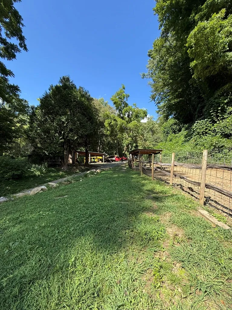 2555 Junaluska Road Andrews, NC 28901