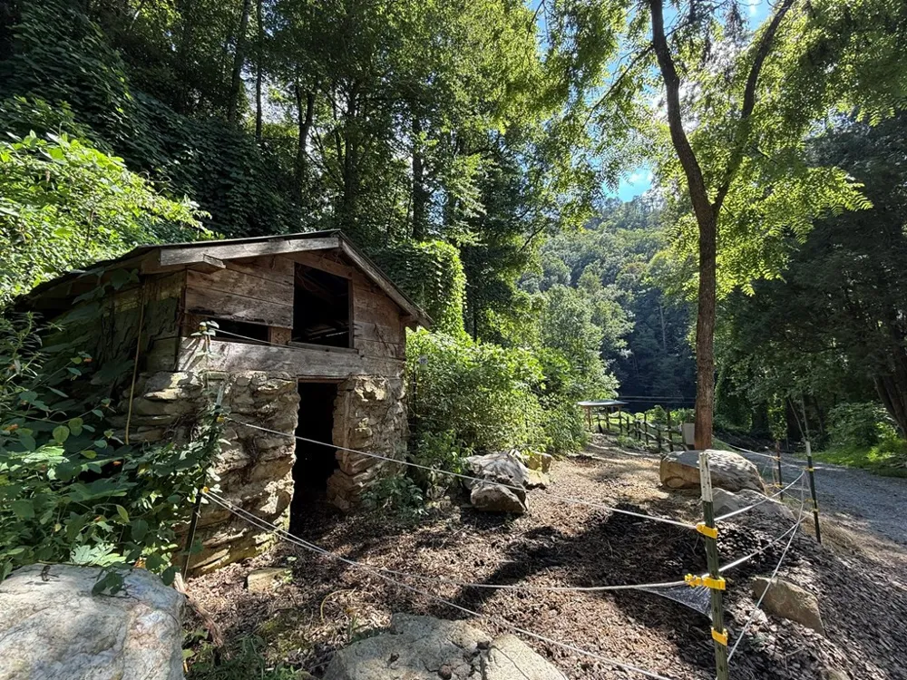 2555 Junaluska Road Andrews, NC 28901