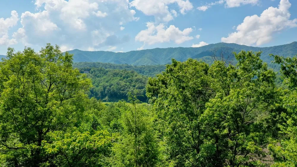 52 Bear Track Road Andrews, NC 28901