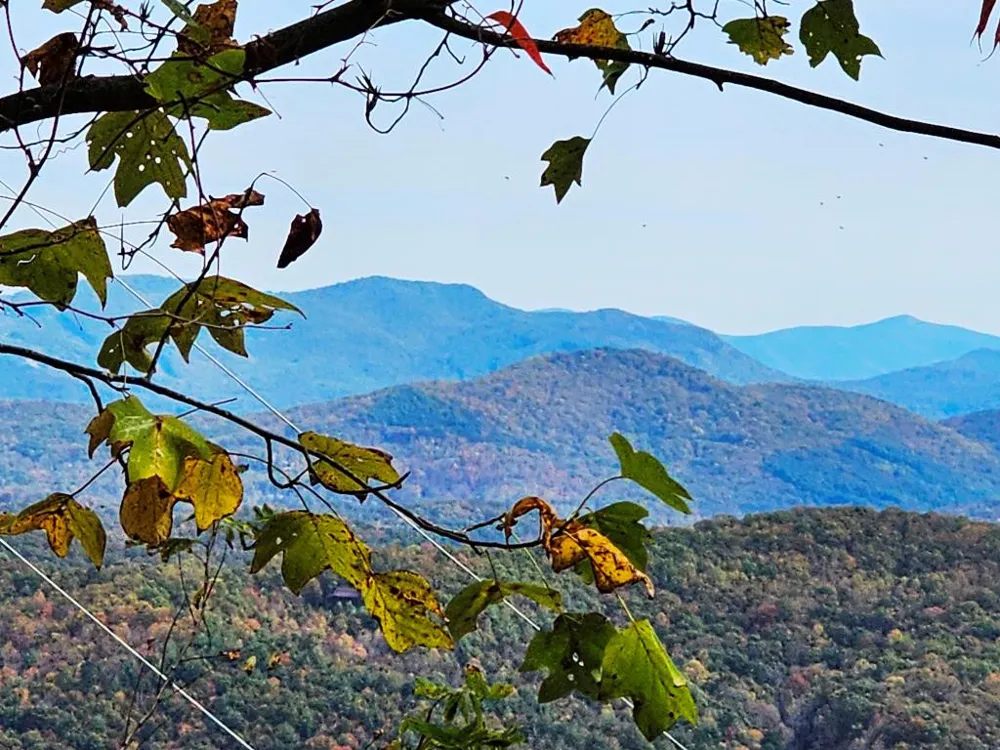 339 Game Trail Drive Brasstown, NC 28902