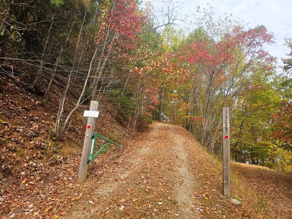 339 Game Trail Drive Brasstown, NC 28902