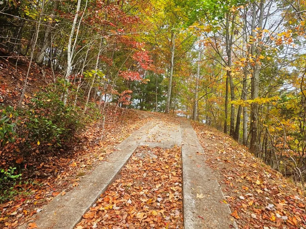 339 Game Trail Drive Brasstown, NC 28902