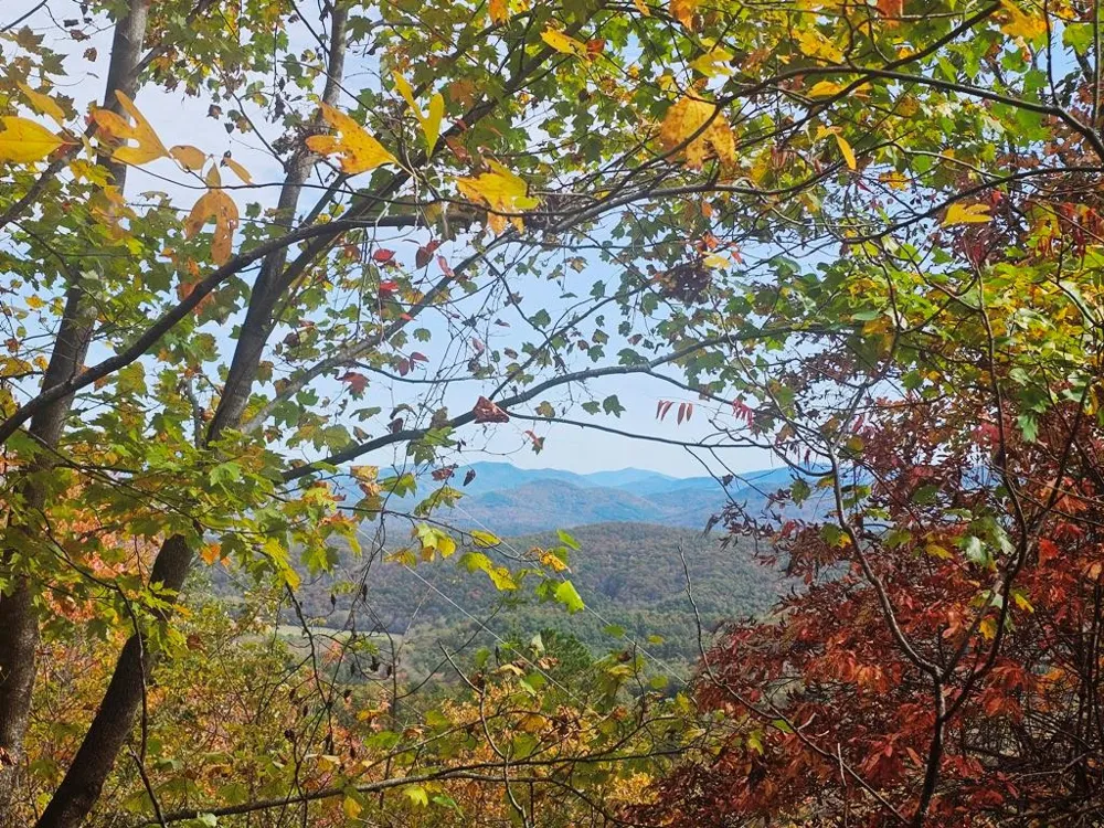 339 Game Trail Drive Brasstown, NC 28902