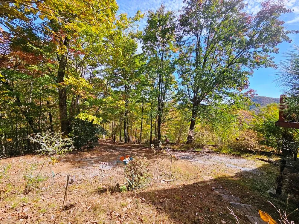 339 Game Trail Drive Brasstown, NC 28902