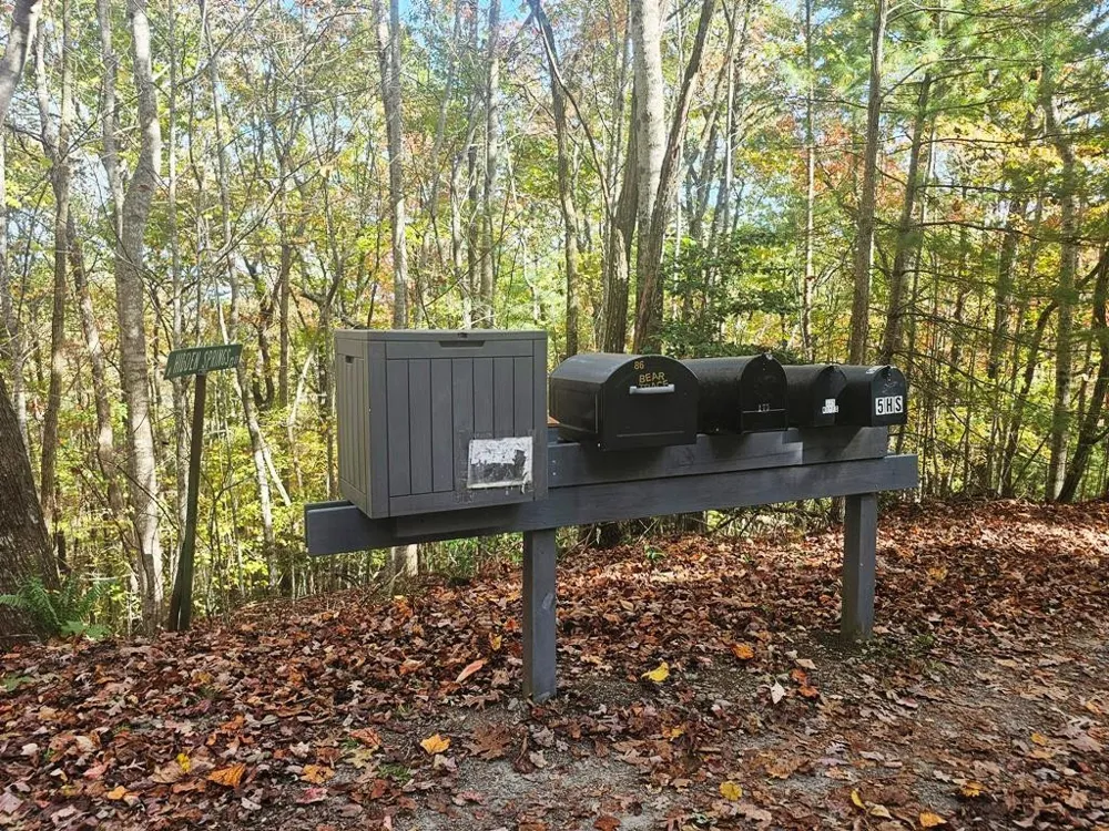 339 Game Trail Drive Brasstown, NC 28902