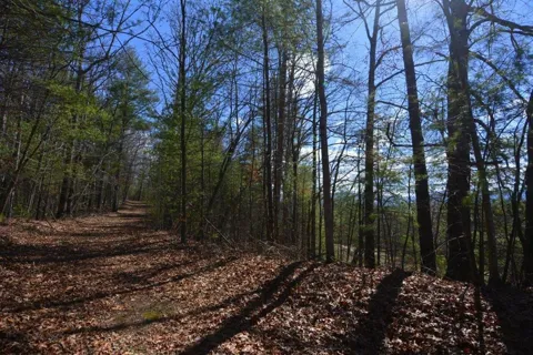 51-53 Hickory Lane