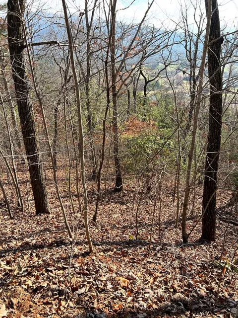 Lot 56c Indian Trail