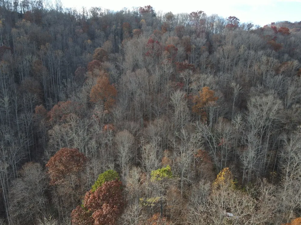 SR 1218 Pinhook Road Robbinsville, NC 28771