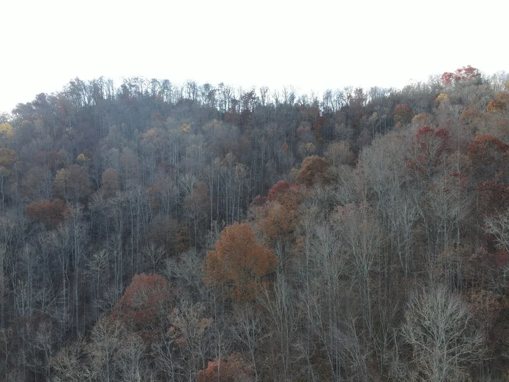 SR 1218 Pinhook Road Robbinsville, NC 28771