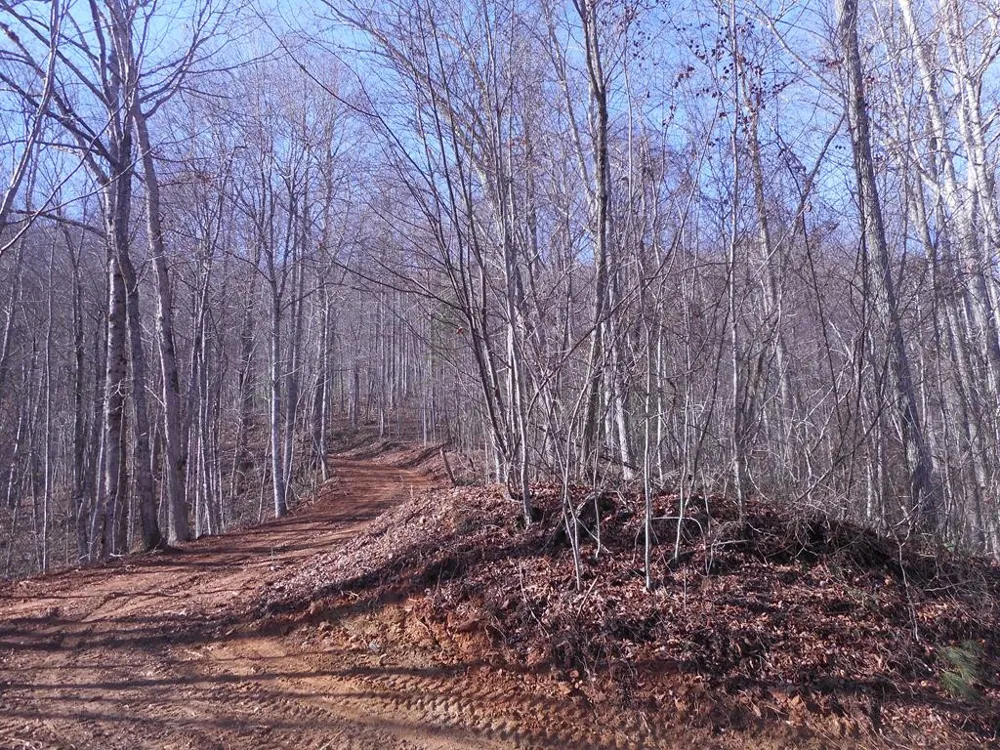 SR 1218 Pinhook Road Robbinsville, NC 28771