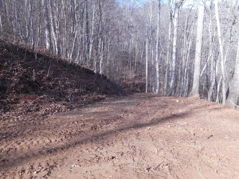 SR 1218 Pinhook Road Robbinsville, NC 28771