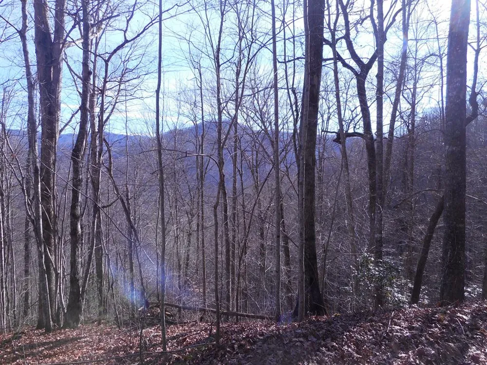 SR 1218 Pinhook Road Robbinsville, NC 28771