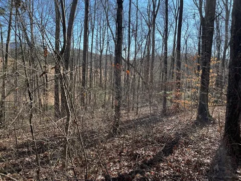 Lot #12e The Woodlands