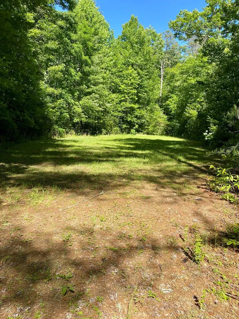 00 Deer Run Robbinsville, NC 28771