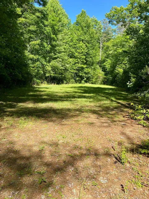 00 Deer Run