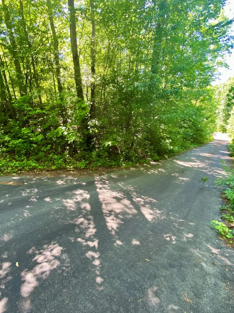 00 Deer Run Robbinsville, NC 28771