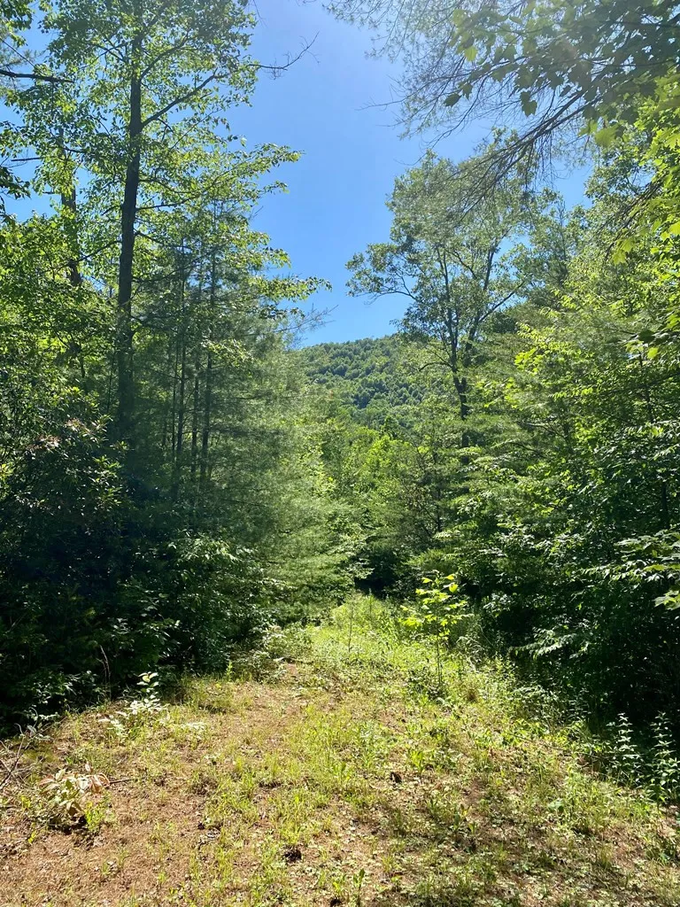 00 Deer Run Robbinsville, NC 28771