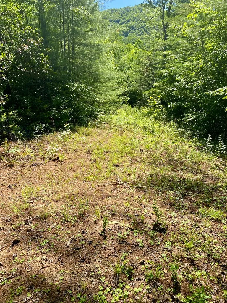 00 Deer Run Robbinsville, NC 28771