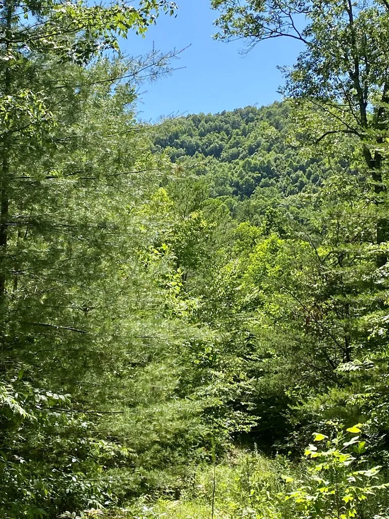 00 Deer Run Robbinsville, NC 28771