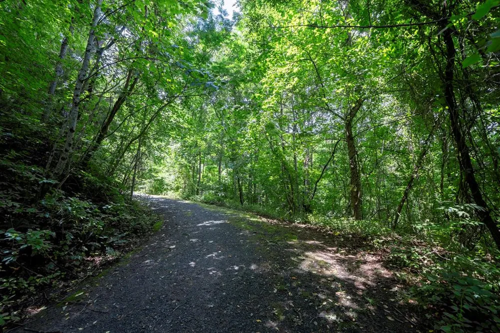 0 E Buffalo Robbinsville, NC 28771