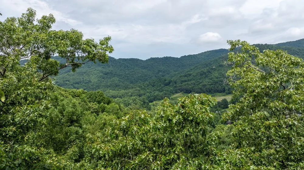 0 E Buffalo Robbinsville, NC 28771