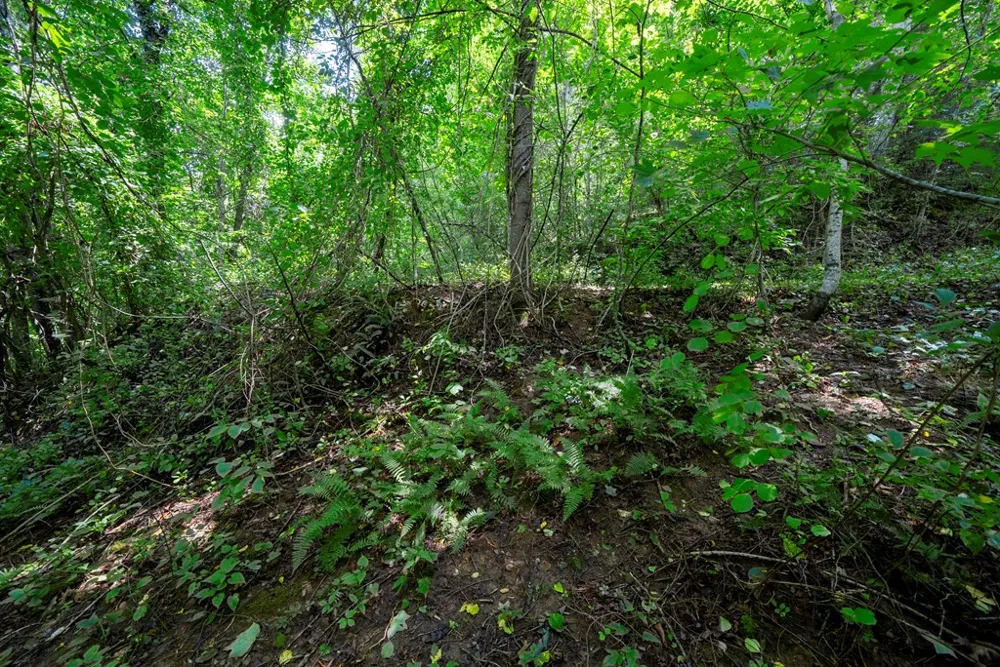 0 E Buffalo Robbinsville, NC 28771