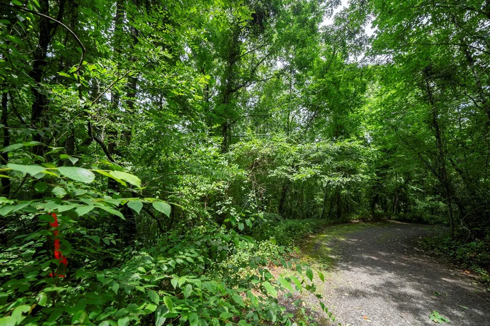 0 E Buffalo Robbinsville, NC 28771