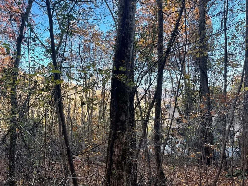 Lot 51j Indian Trail Hayesville, NC 28904