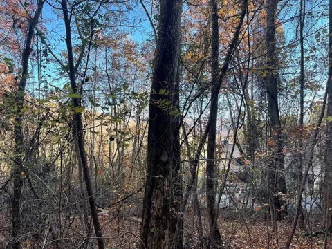 Lot 51j Indian Trail