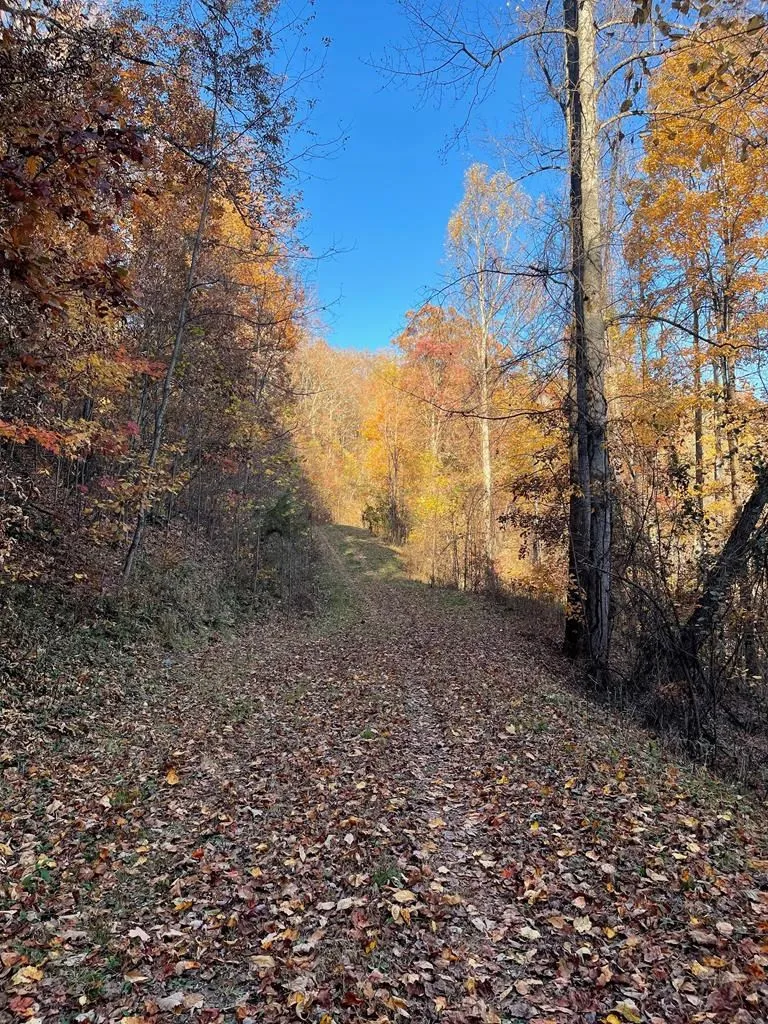Lot 51j Indian Trail Hayesville, NC 28904