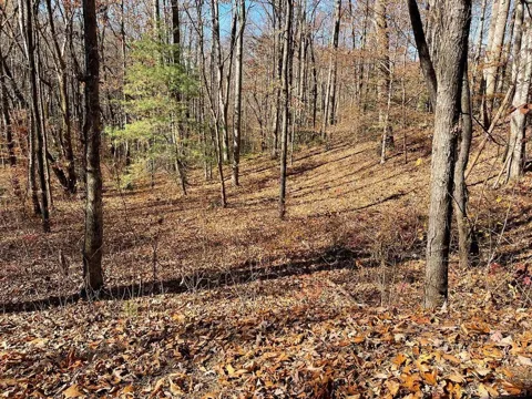 Tbd Ashe Knob Drive