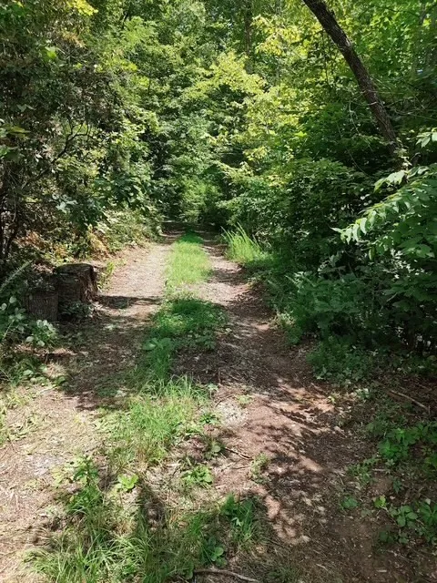 580 Overlook Robbinsville, NC 28771
