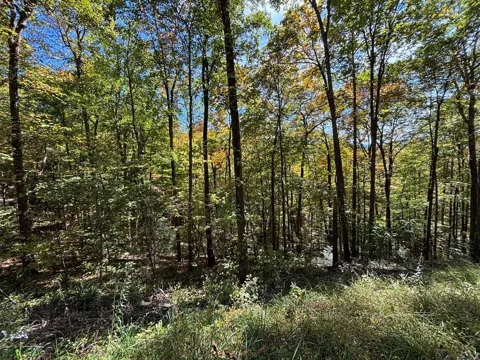 Lots 3 & 4 Holly Ridge Road