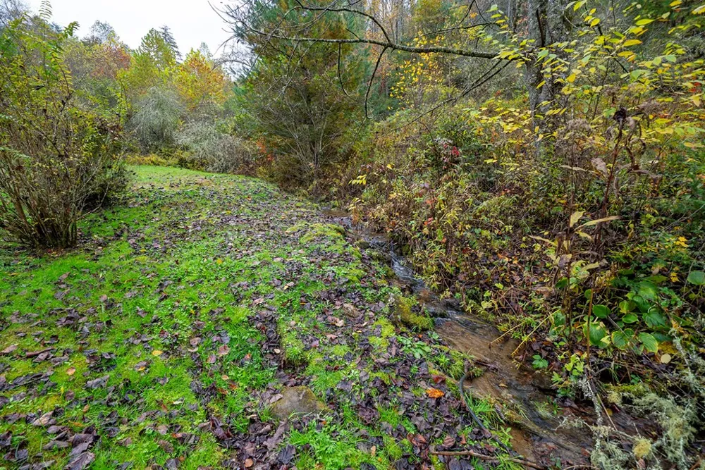 139 Land Iu Gap Road Robbinsville, NC 28771