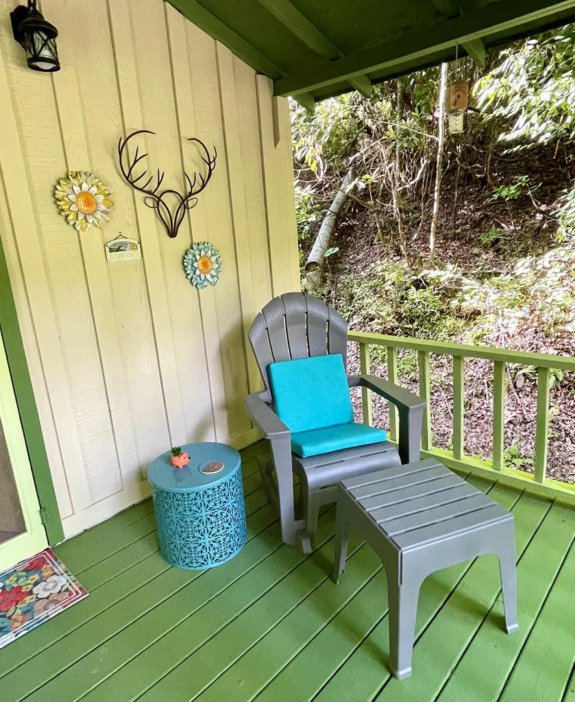180 Valley Lane Bryson City, NC 28713