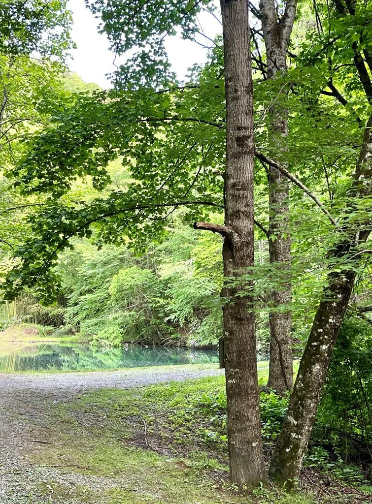 180 Valley Lane Bryson City, NC 28713