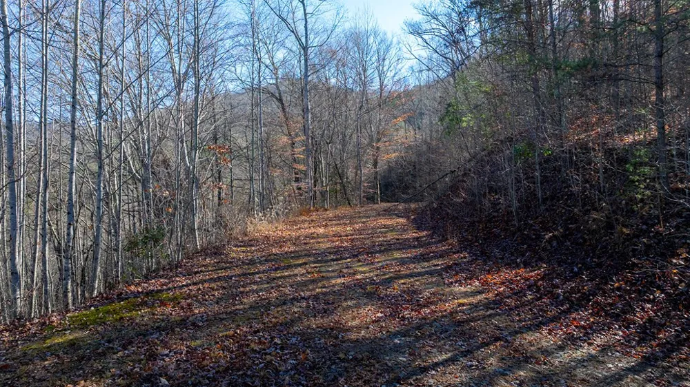 1-3 Santeetlah Heights Robbinsville, NC 28771
