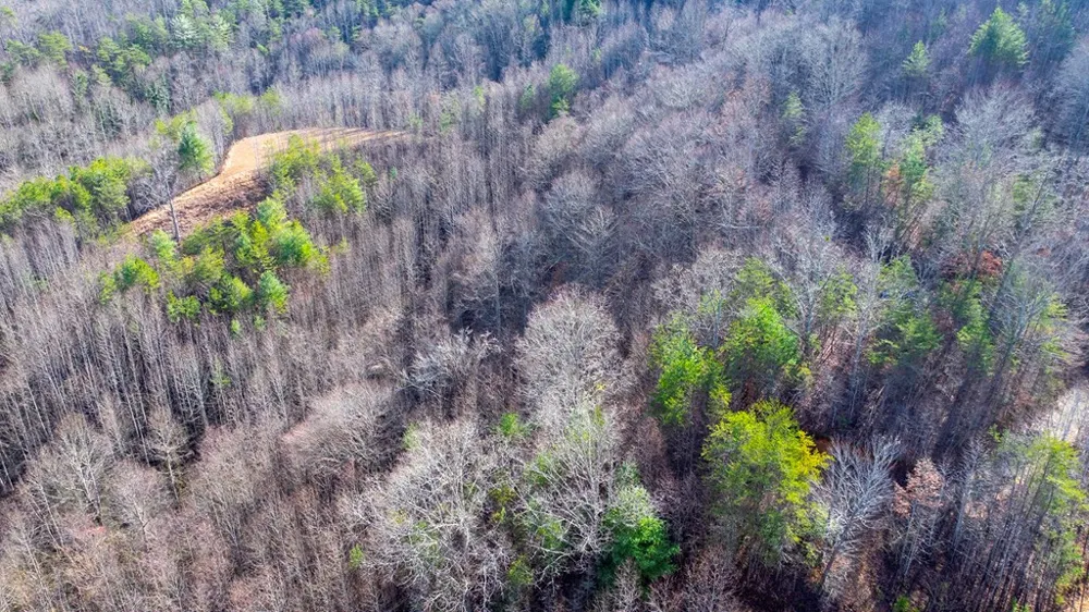 1-3 Santeetlah Heights Robbinsville, NC 28771