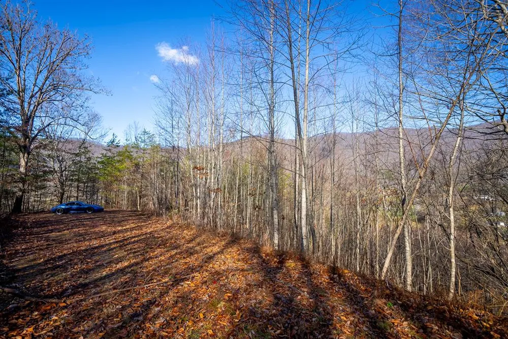 1-3 Santeetlah Heights Robbinsville, NC 28771