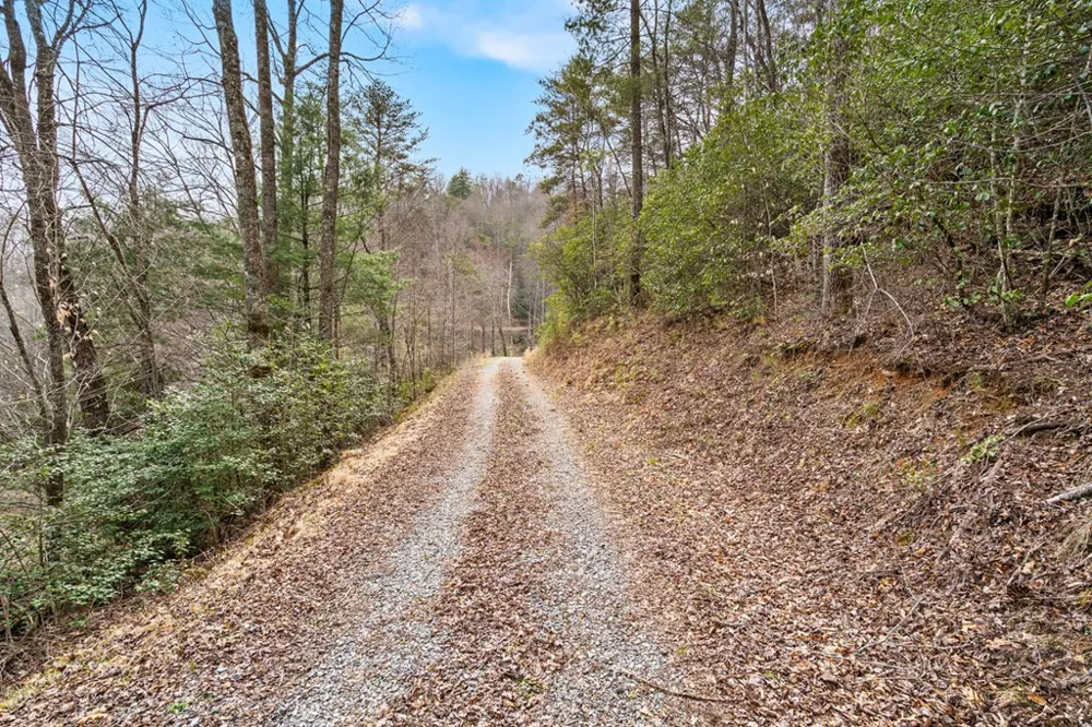 145 Raymond Wilson Road Topton, NC 28781